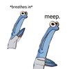 meep.jpg