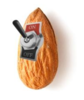 activated almonds.png