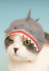 cap-for-cats-aquarium-05__72830.1505865709.1280.1280.jpg