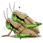 bug love.jpg