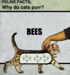 Bees.png