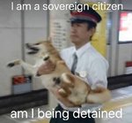 Sovereign citizen.jpg