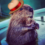 butthat beaver.jpg