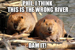 phil-beaver.jpg