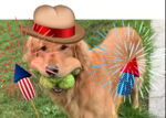 DogButthat1Fireworks.png