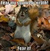 Fear my squirrely wrath.jpg