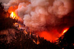 13Wildfire-slide-HMO6-superJumbo.jpg