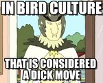 bird culture.jpg