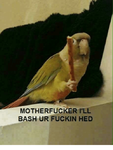 motherfucker-ill-bash-ur-fuckin-hed-35026484.png