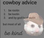 Cowboy advice.jpg