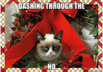 christmas-cats-featured.gif