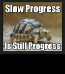 thumb_slow-progress-isstill-progress-20-turtle-memes-thatll-make-your-54041687.png