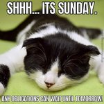 sunday-cat-meme.jpg