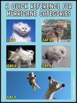 hurricane Cat.jpg