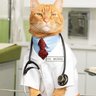 DrCatMD