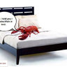 BedLobster22