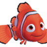 Nemo