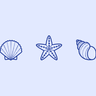 Seashell